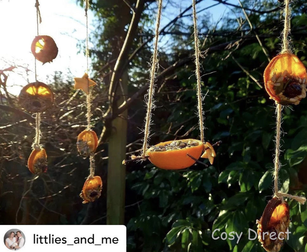 Great British Bird Watch activities for children