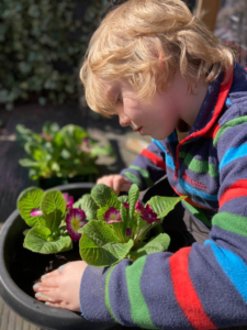 Children's Mental Health Week: Outdoor Play's Impact on Wellbeing